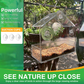 Chunhai Clear Window Feeder top view reveals unobstructed feed access.