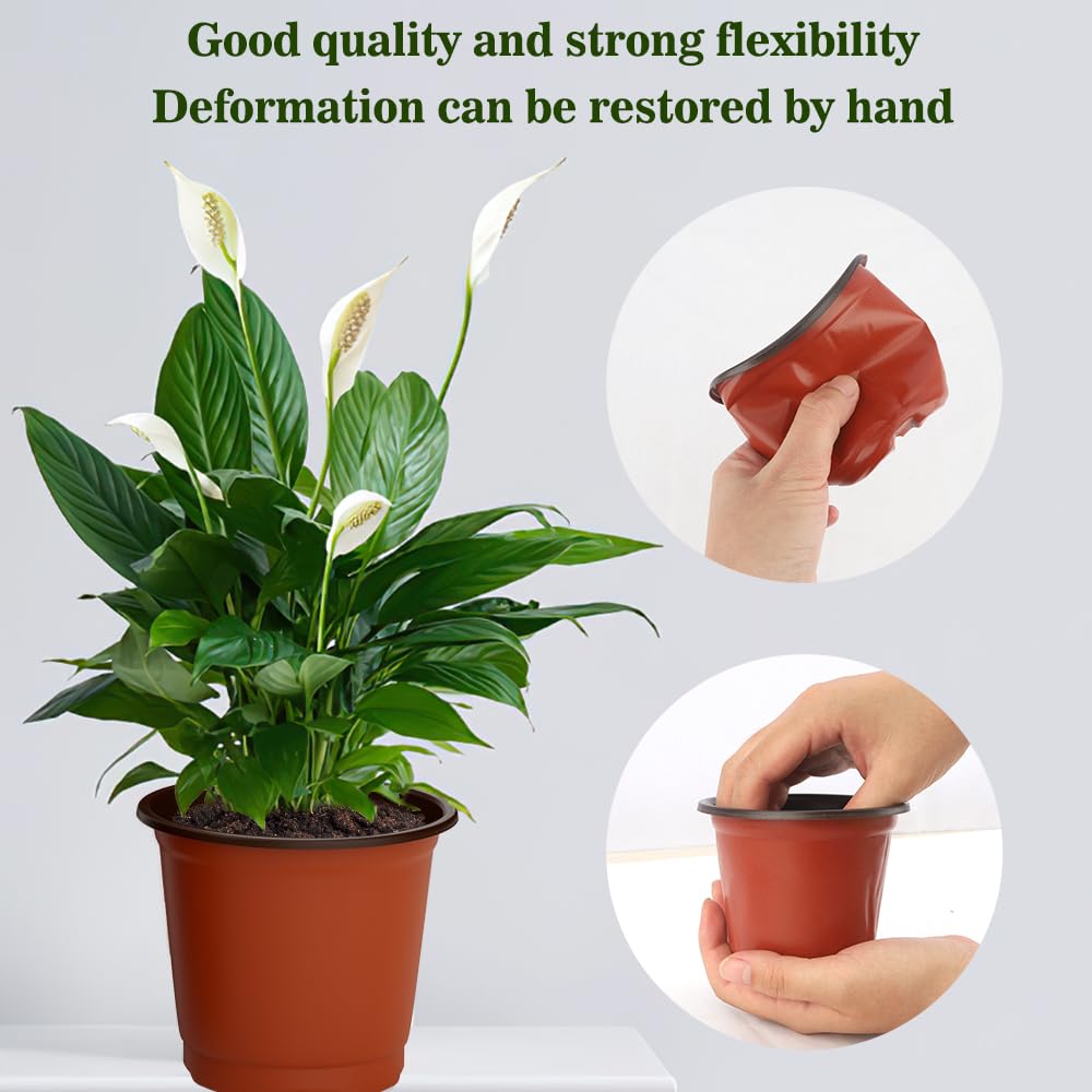 Cidenbio seedling labels help identify plants at a glance.