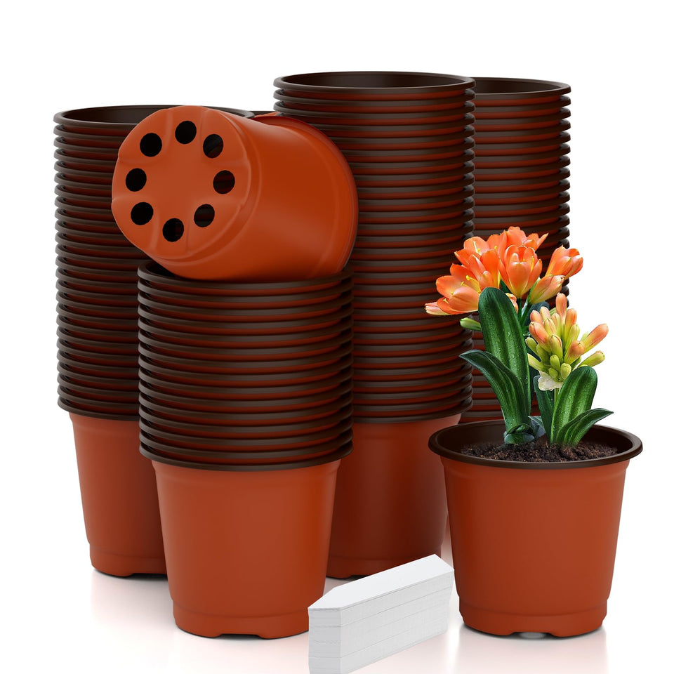 Cidenbio 4-inch nursery pot with drainage for healthy seedling start.