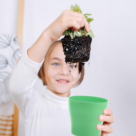 CIEOVO classroom DIY spring project ready for activities