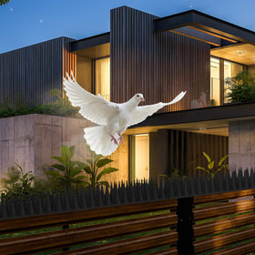 CIIC Bird Spikes on eaves show flexible mounting options