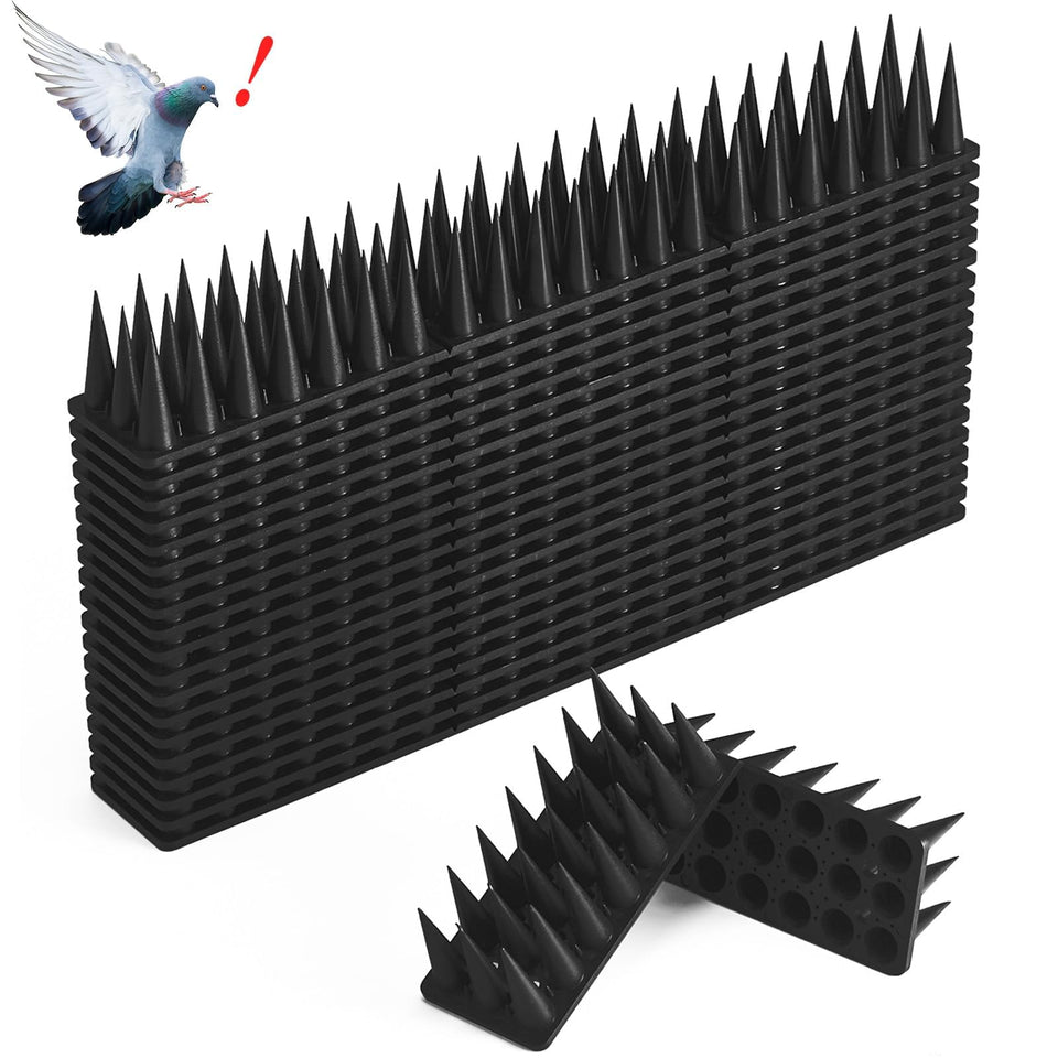 CIIC bird spikes on roof edge deter pigeons and small intruders.