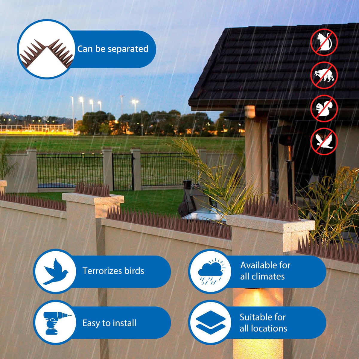CIIC Bird Spikes at a window frame reduce nesting without harm.