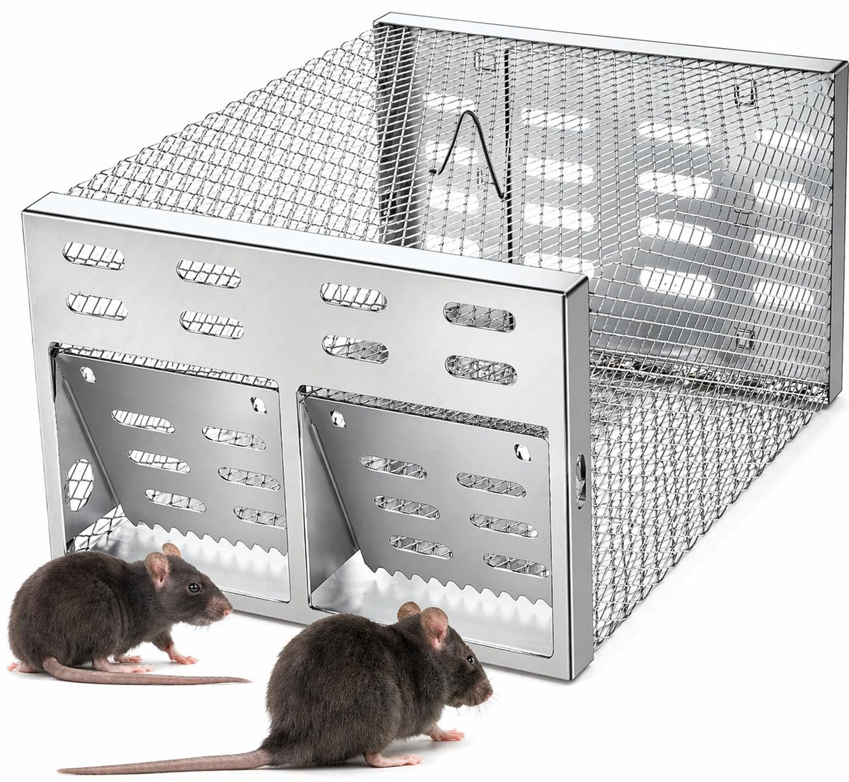 Cijoaui humane rodent trap with dual doors for safe entry and containment.