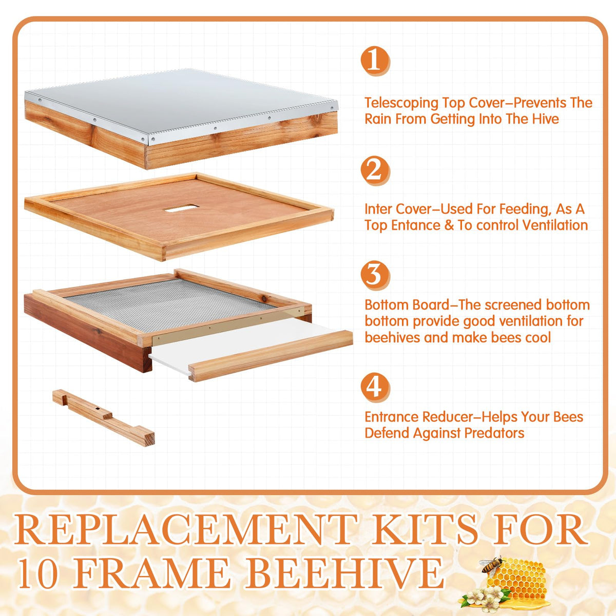 Cinnvoice screened bottom board promoting hive ventilation and debris management