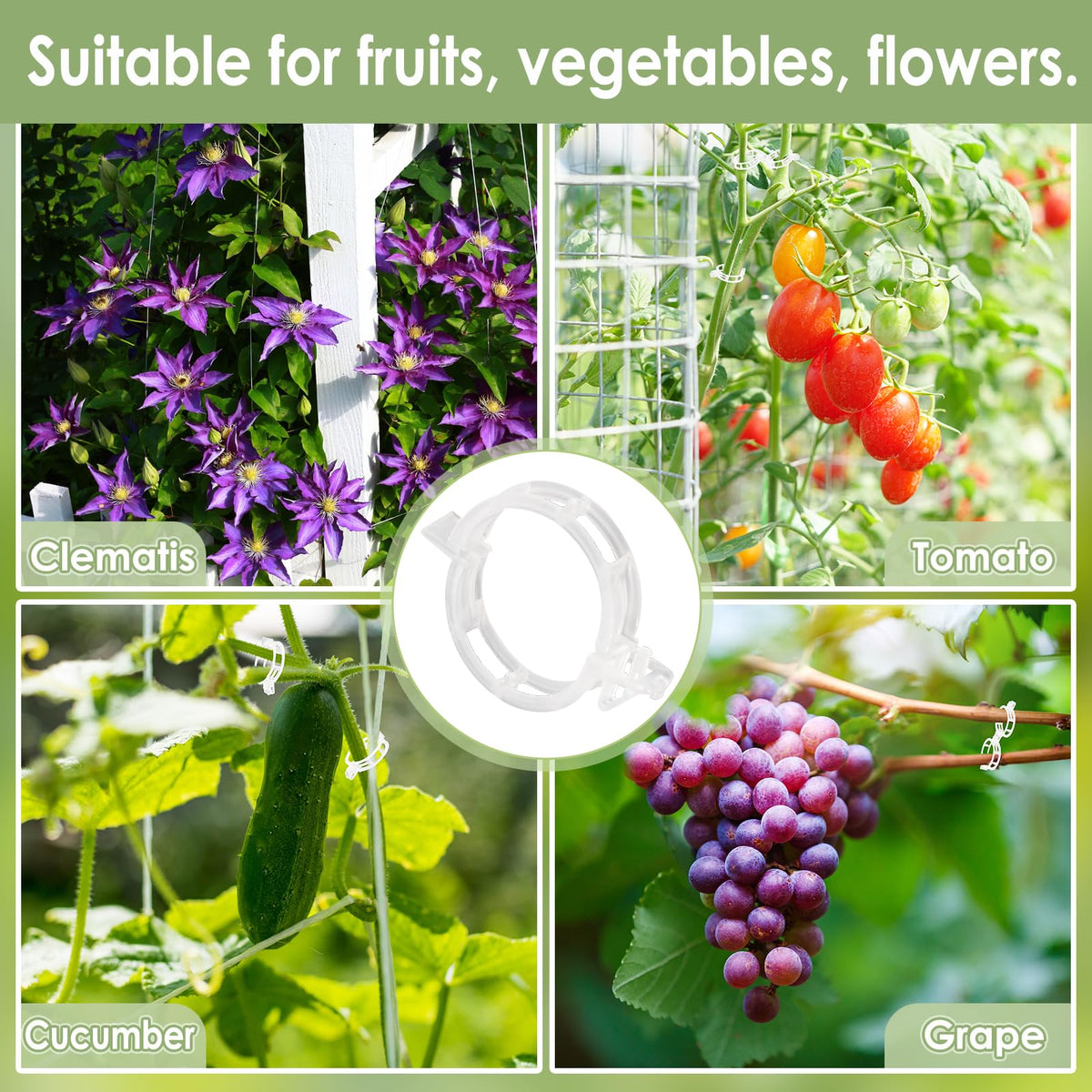 CINKSY bulk pack 200 clips covers broad gardening needs.