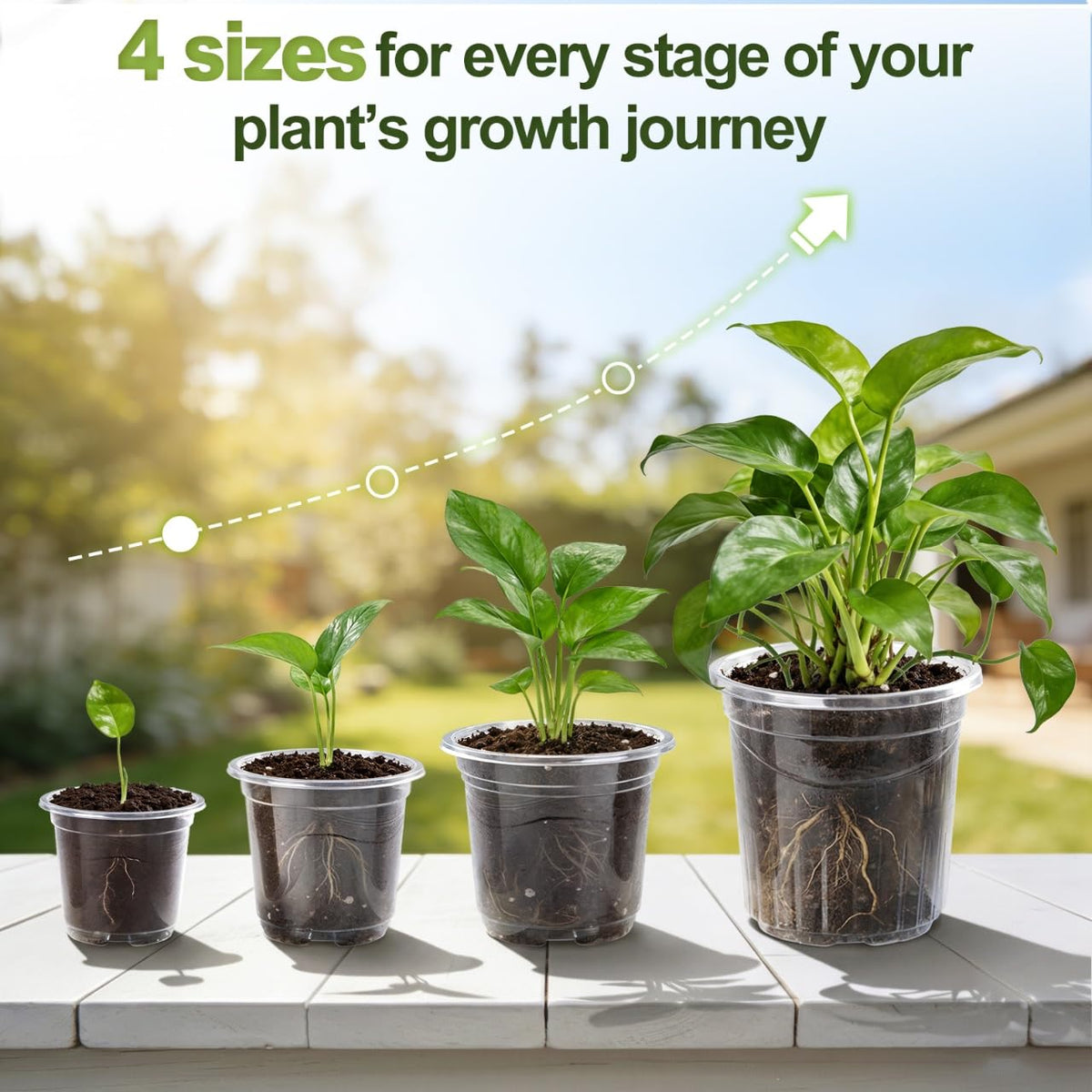 CINKSY clear 5-inch nursery pot supports healthy roots with built-in drainage.