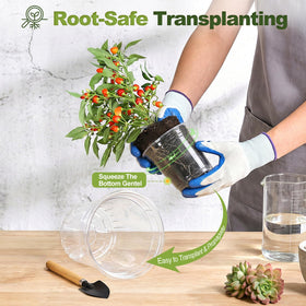 CINKSY clear 6.5-inch nursery pot offers extra space for maturing seedlings.