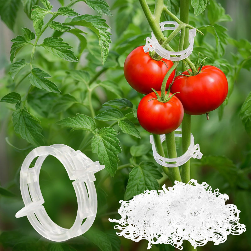 CINKSY plant clips with clip-on design secure vines to supports.