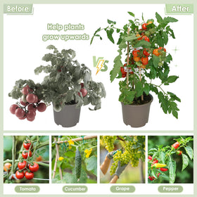 CINKSY trellis clips blend semi-transparent look for a neat garden.