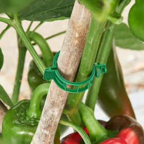 CIQIYO clip weather-ready performance for outdoor garden use.