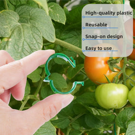 CIQIYO pepper-stem clip keeps peppers upright and stable.