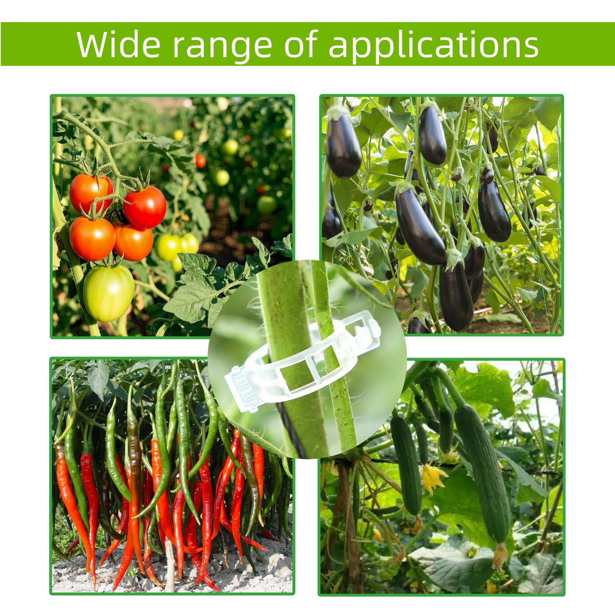CIQIYO tomato-vine clip shown in action for secure support.