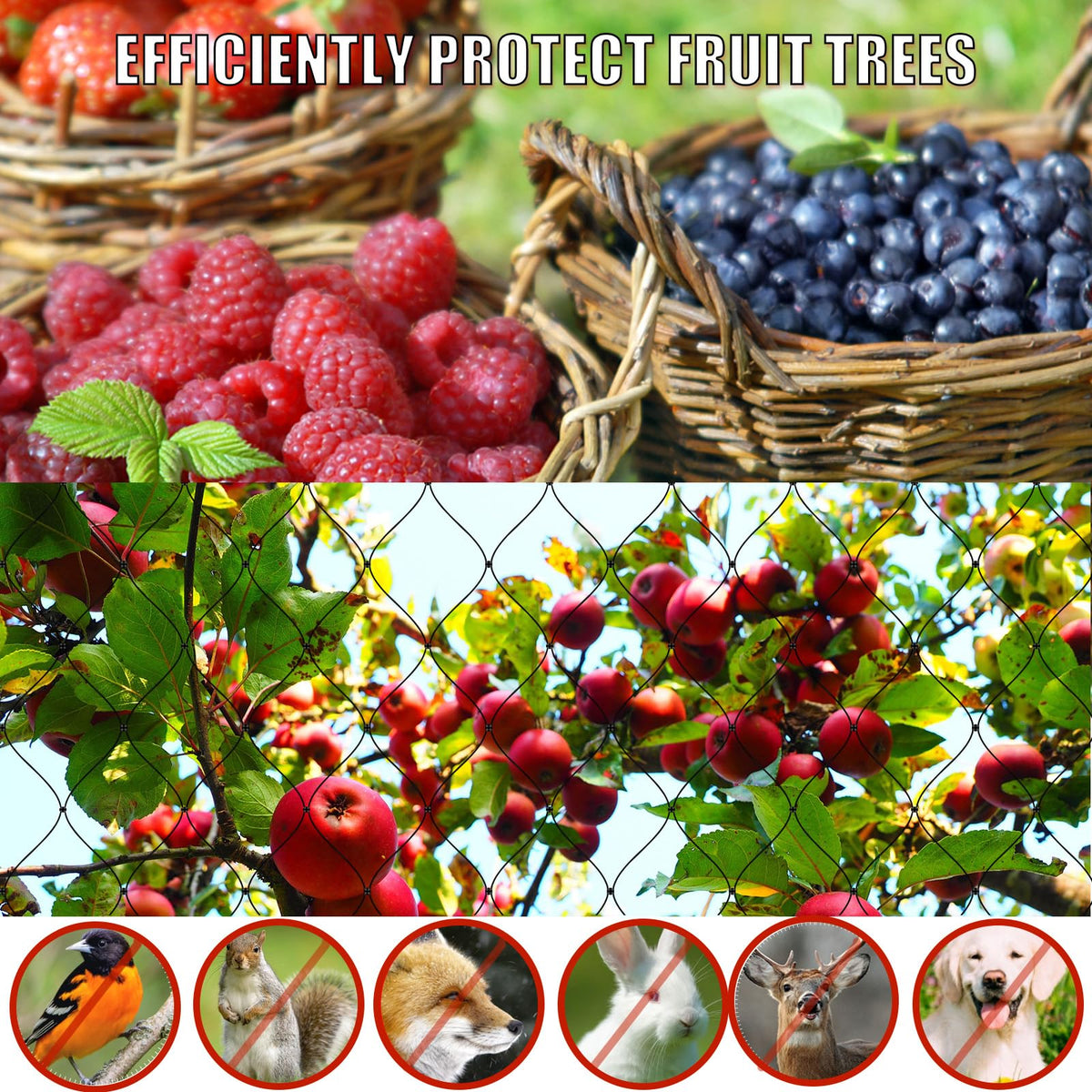 Versatile netting for berries, fruit trees, and climbing plant trellises.