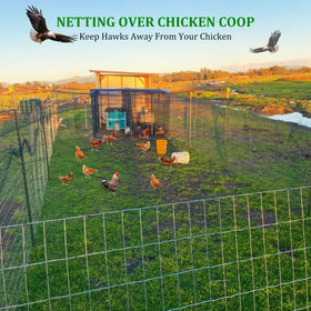 CITOOTY poultry netting 25x50 ft blocks hawks while keeping poultry contained.