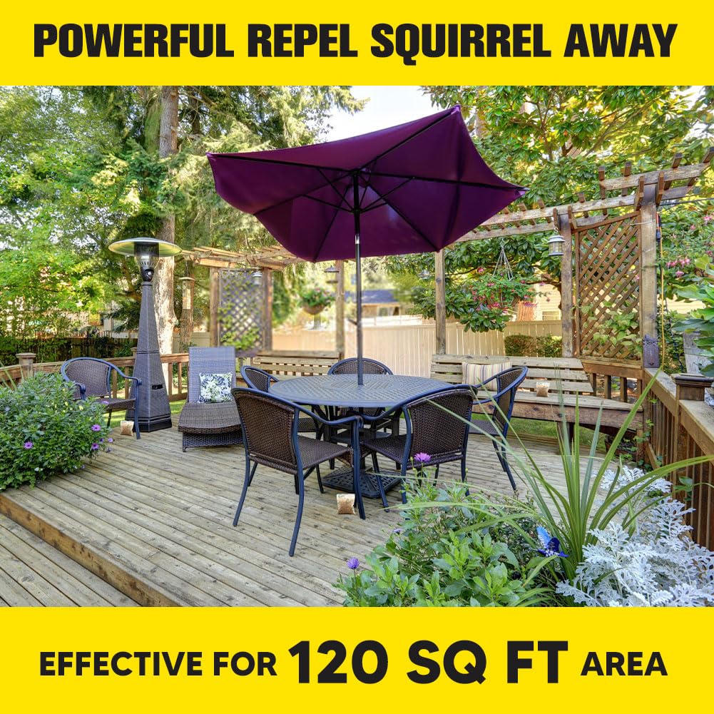 CJEIWYA pet friendly design shown for porches with dogs or cats.
