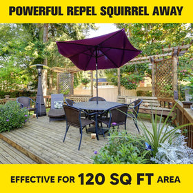 CJEIWYA pet friendly design shown for porches with dogs or cats.
