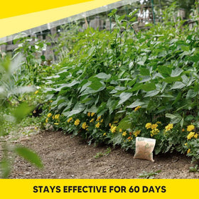 CJEIWYA repellent used indoors keeps pests away from stored items