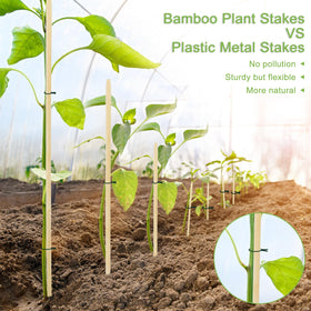 CJFocus plant support stakes bundle provides durable garden organization