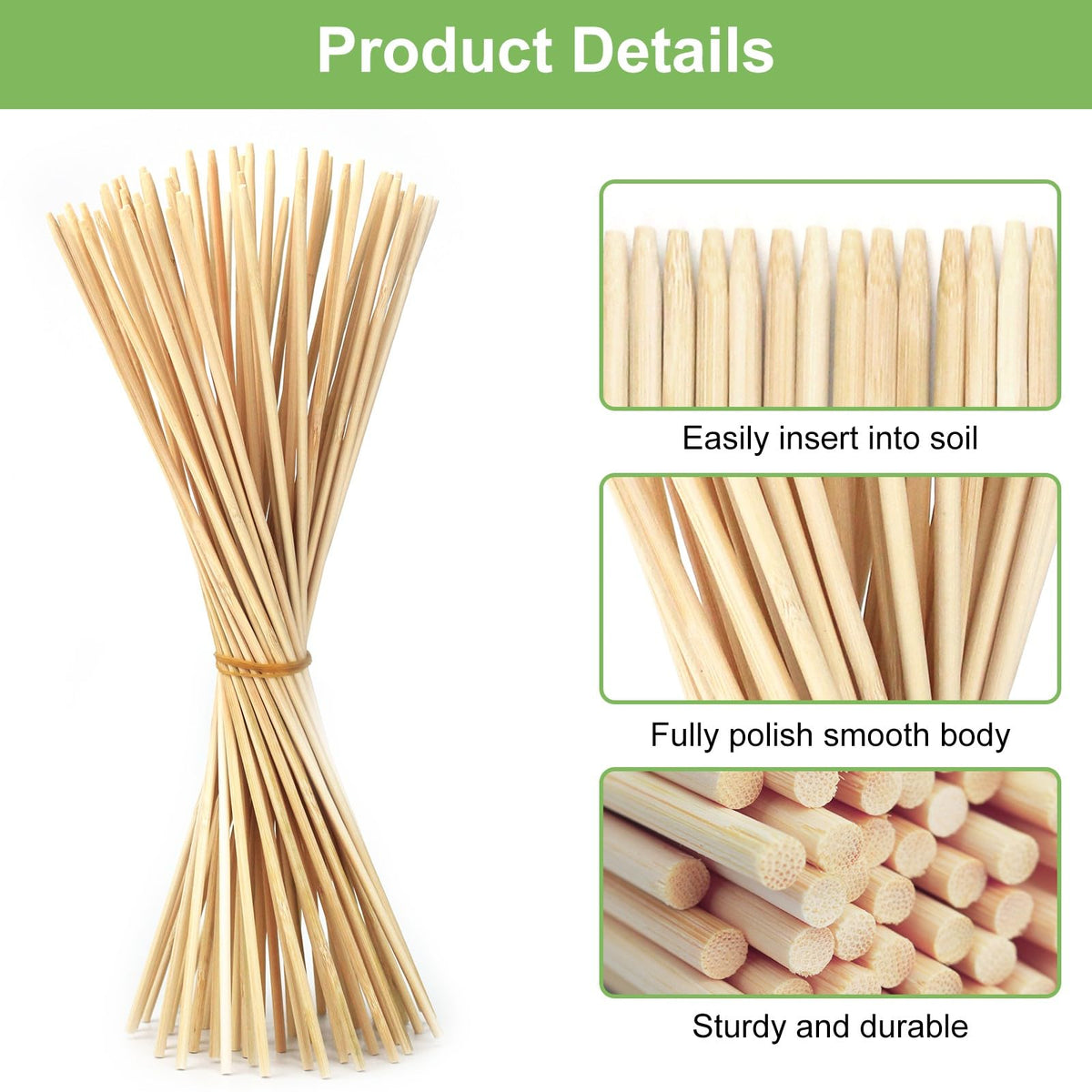 CJFocus versatile stakes support indoor pots and outdoor garden beds for tidy growth.