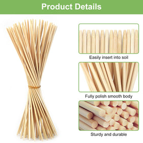 CJFocus versatile stakes support indoor pots and outdoor garden beds for tidy growth.