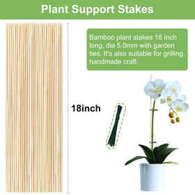 CJFocus included twist ties and wires simplify attaching plants to stakes.