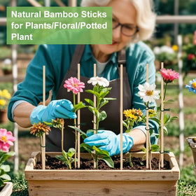 CJFocus wooden plant-support stake reinforces stems in flower arrangements for structure.