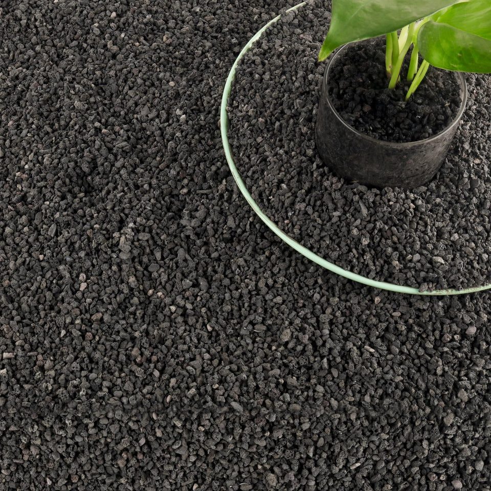 CJGQ 18LB black lava rocks for potting and top dressing improve drainage.