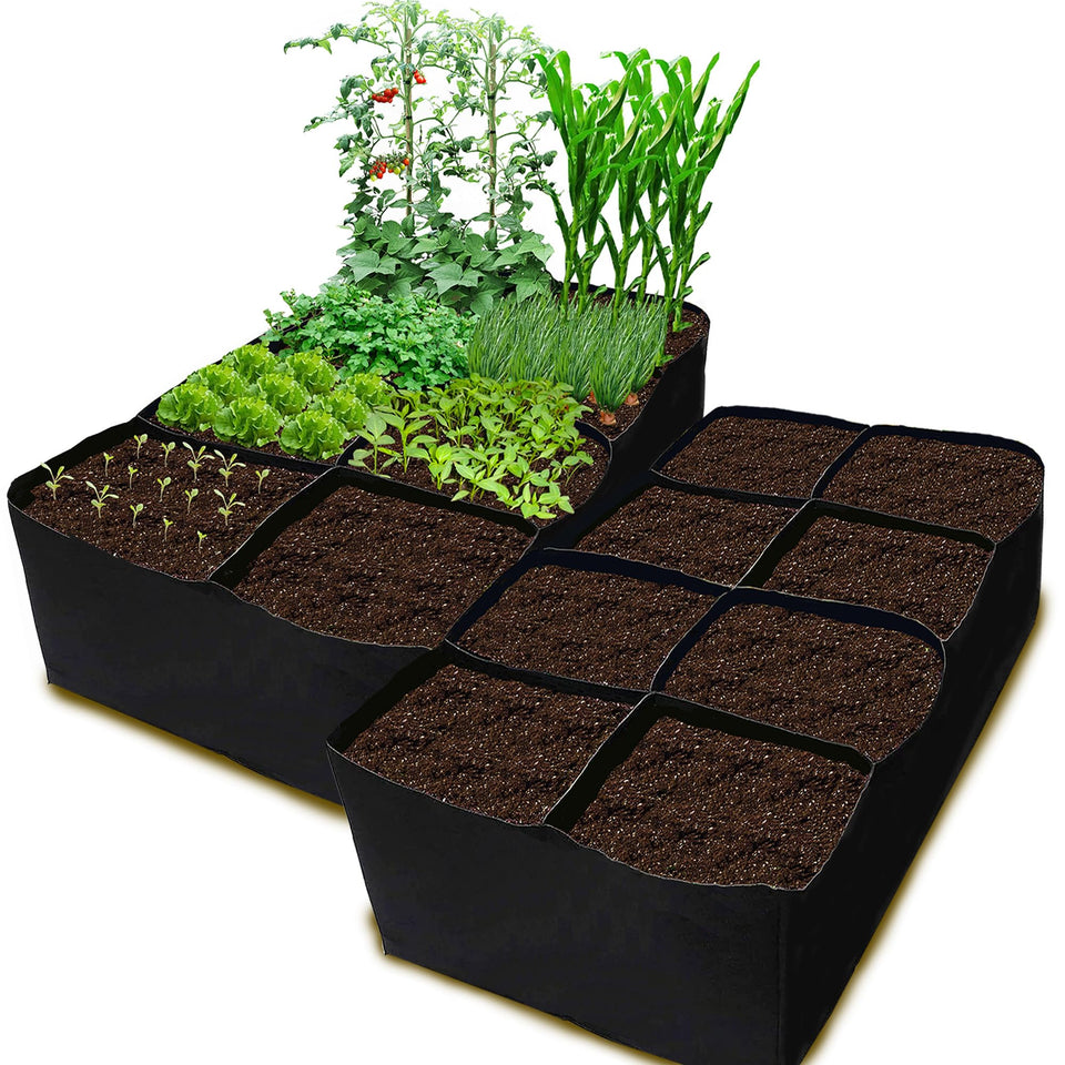 CJGQ 2-pack fabric raised bed 6x3x1ft offering ample space for herbs and vegetables