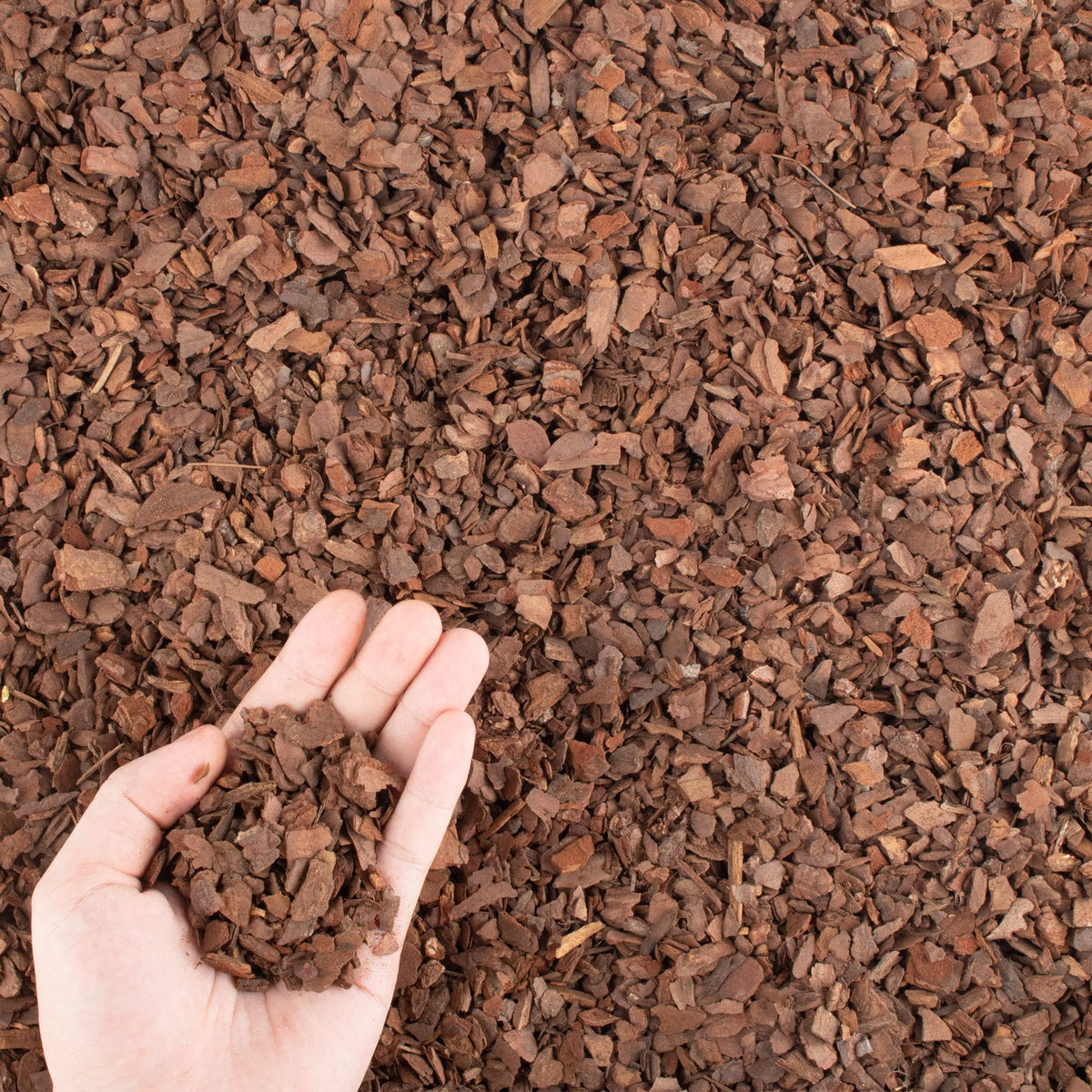 CJGQ 9qt orchid bark chips for mulching and improving airflow around orchid roots.