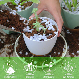 CJGQ perlite aiding seed germination and cutting propagation.