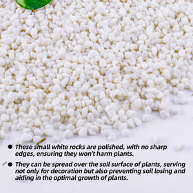 CJGQ aquarium white pebbles brighten tanks and create natural-looking underwater scenery.