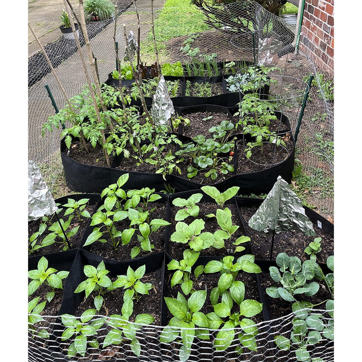 CJGQ backyard terrace patio garden setup using fabric beds for versatile gardening