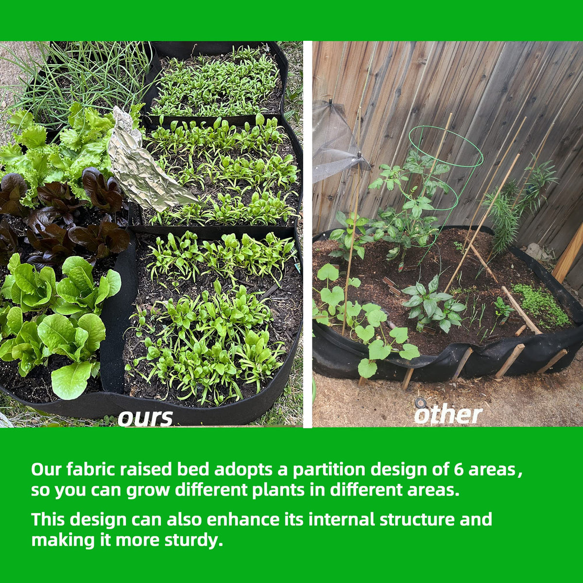 CJGQ bed with six-square partition for organized planting.