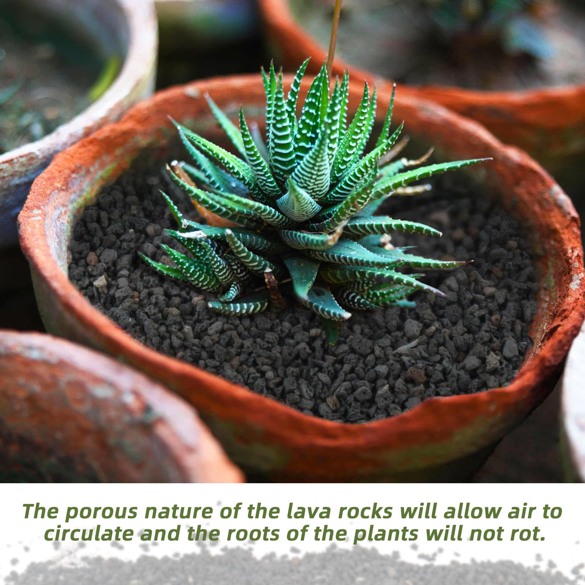 CJGQ lava rock for planter drainage and root protection in pots