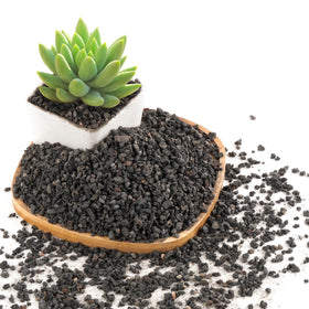 CJGQ black lava rocks in planter top dressing improving drainage and aeration