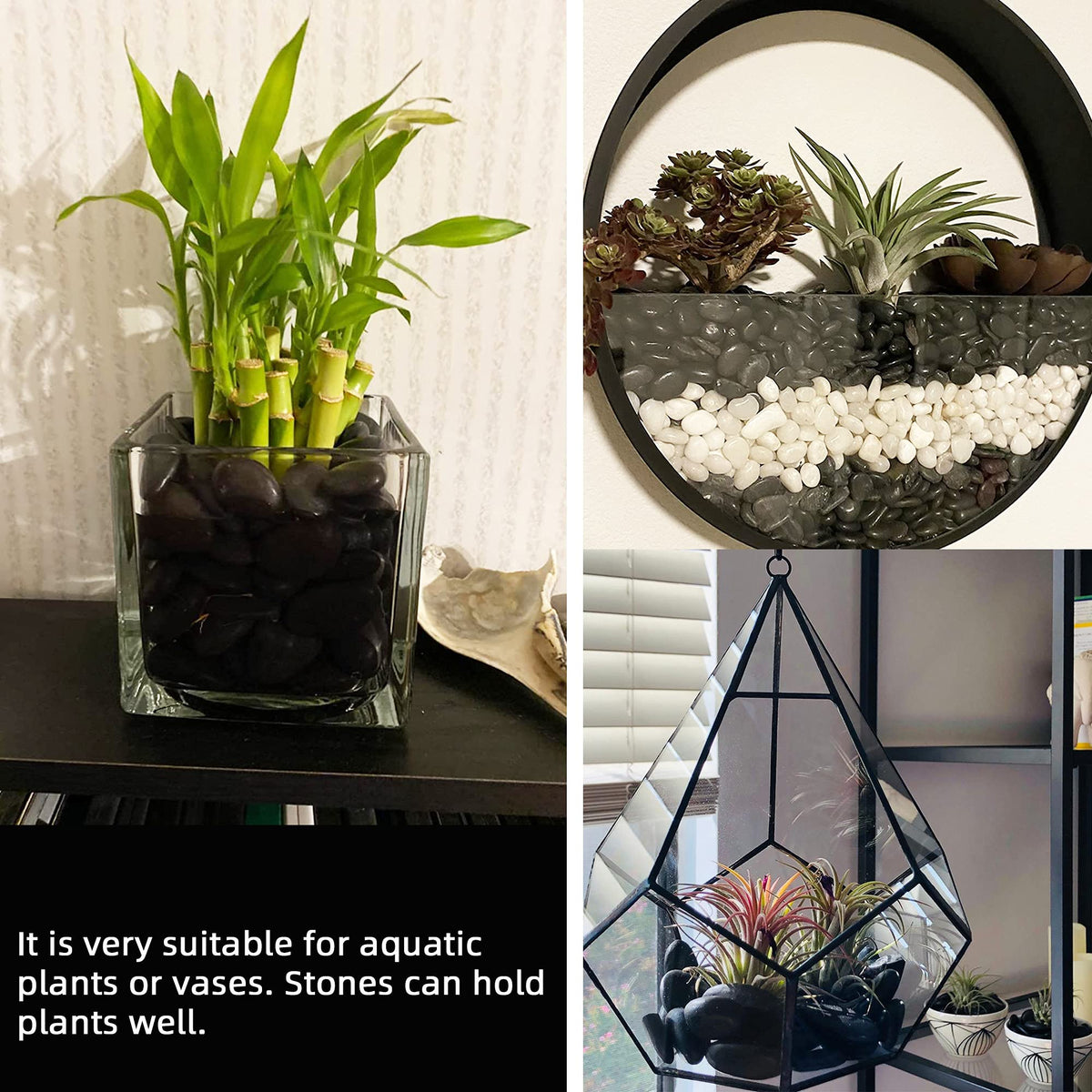 CJGQ Black Pebbles used as vase filler for decorative layouts.