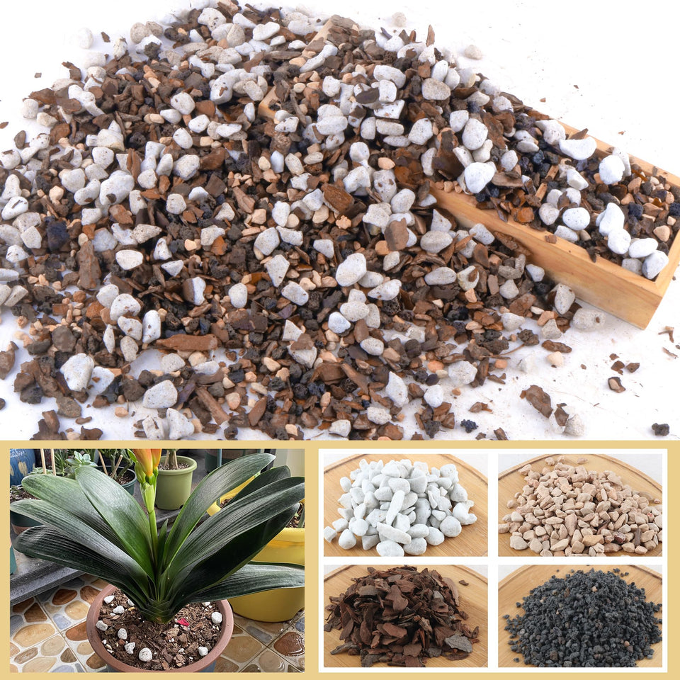 CJGQ bonsai soil mix 2qt bag close up showing natural ingredients for healthy roots