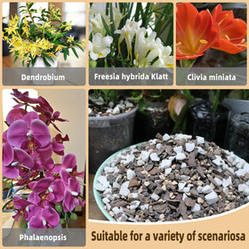 CJGQ bonsai soil mix diatomite close up adds minerals and drainage