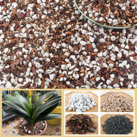 CJGQ bonsai soil mix bag for thriving potted plants