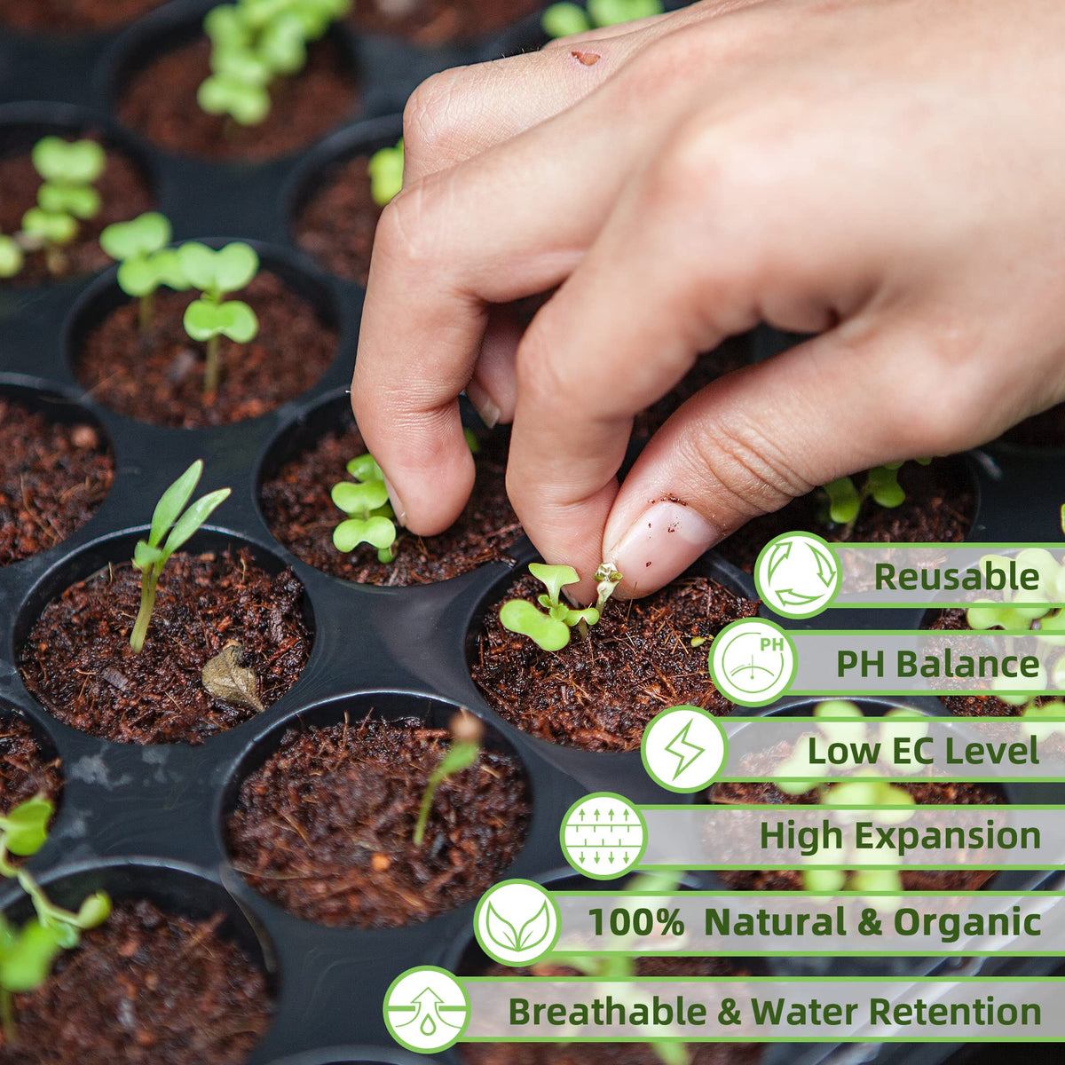 CJGQ Coco Coir Brick Soil Mix supports healthy roots and balanced moisture.