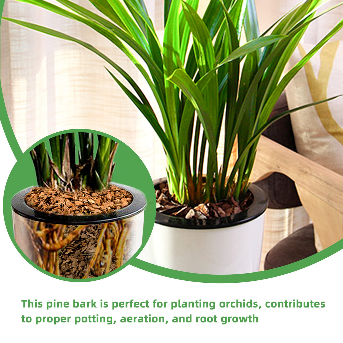 CJGQ improved drainage in potting mix with organic pine bark.