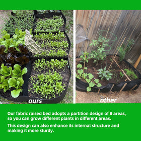 CJGQ eight-grid design highlights organized planting and efficient space use