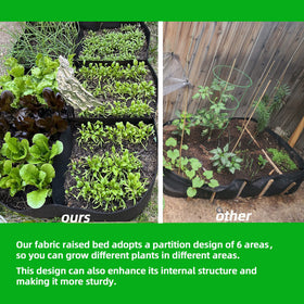 CJGQ garden bed partition shows six sections for organized planting.