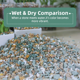 CJGQ green zeolite rocks help balance soil moisture and pH.