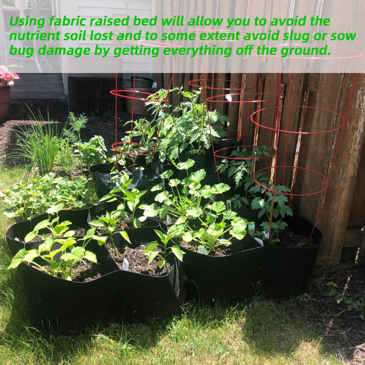 CJGQ herbs and fruit bed enables versatile gardening in small spaces.