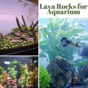 CJGQ 18LB lava rocks suit gardens as aquarium and fire pit accents.