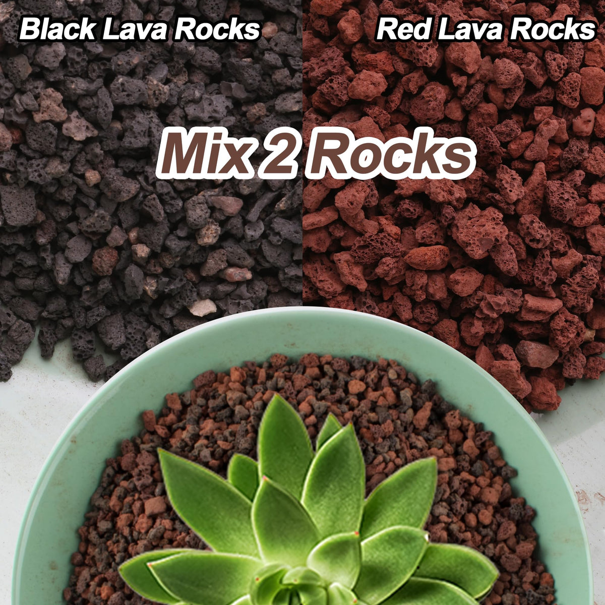 CJGQ lava rocks' porous surface aids airflow and moisture retention for plants.