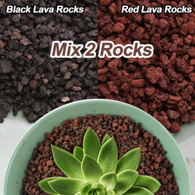 CJGQ lava rocks' porous surface aids airflow and moisture retention for plants.