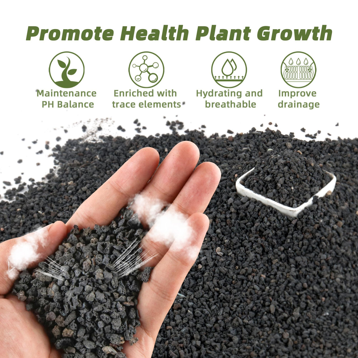 CJGQ lava rocks for succulents and bonsai promote aeration and moisture balance.